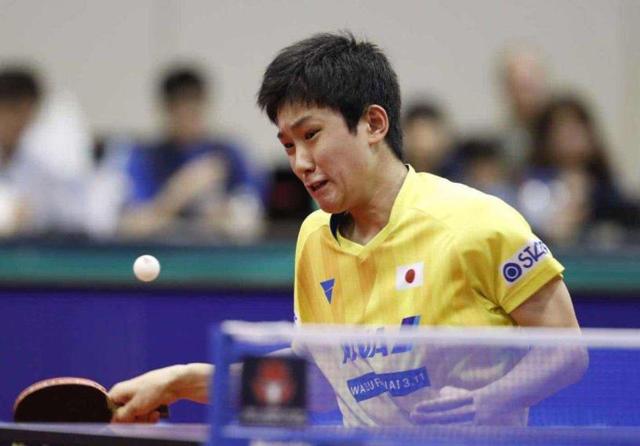 防线的稳固 防线的稳固